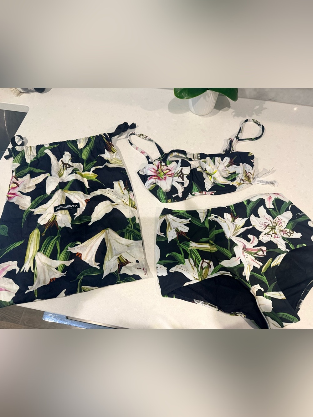 Dolce & Gabbana Black and White Floral Bra Set